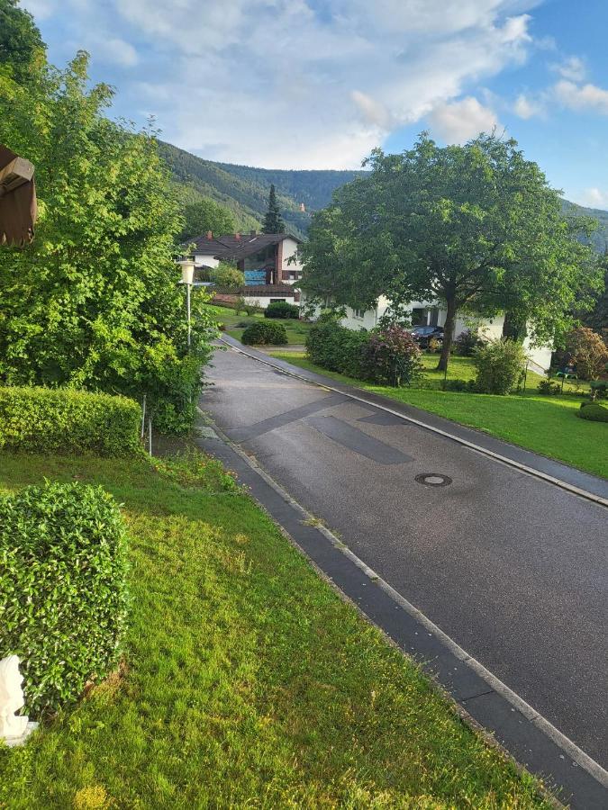 Ferienwohnung Freudenberg Freudenberg am Main ภายนอก รูปภาพ